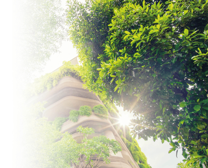 Archilles Carbon Reduction Scheme Teaser Sustainability Green Future
