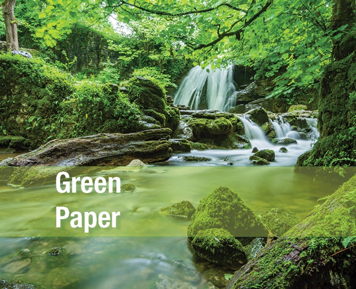 Green Paper Download Link